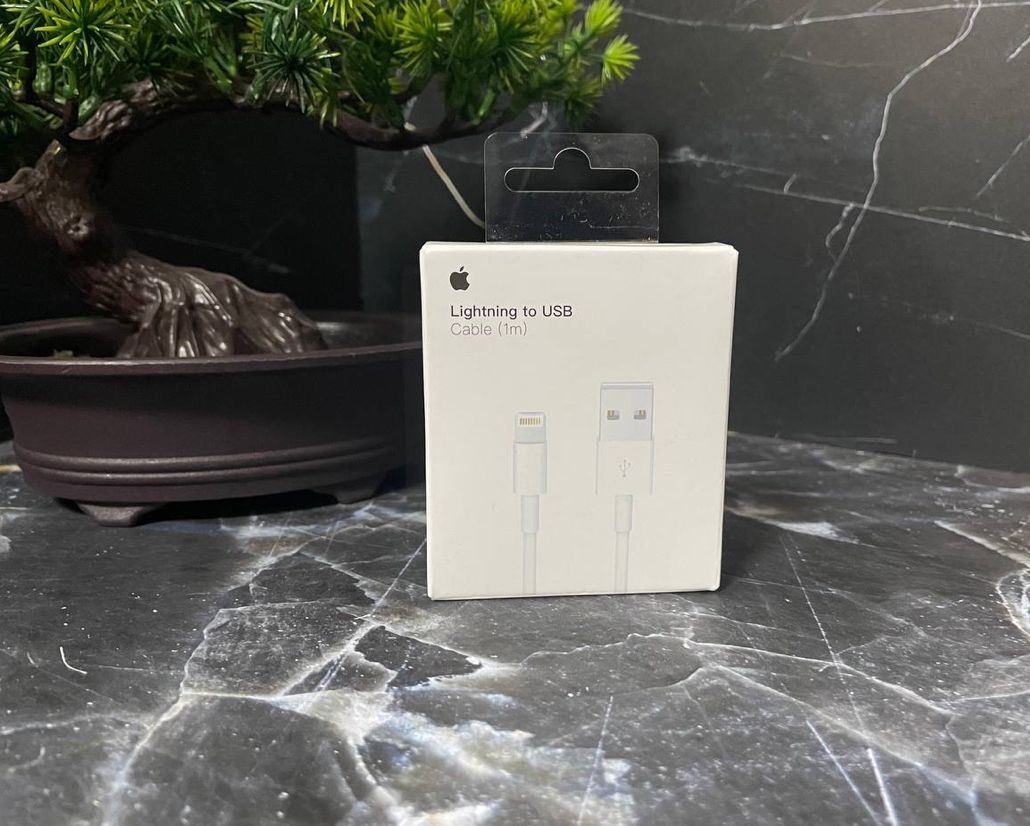 Зарядное устройство Apple Lighting USB